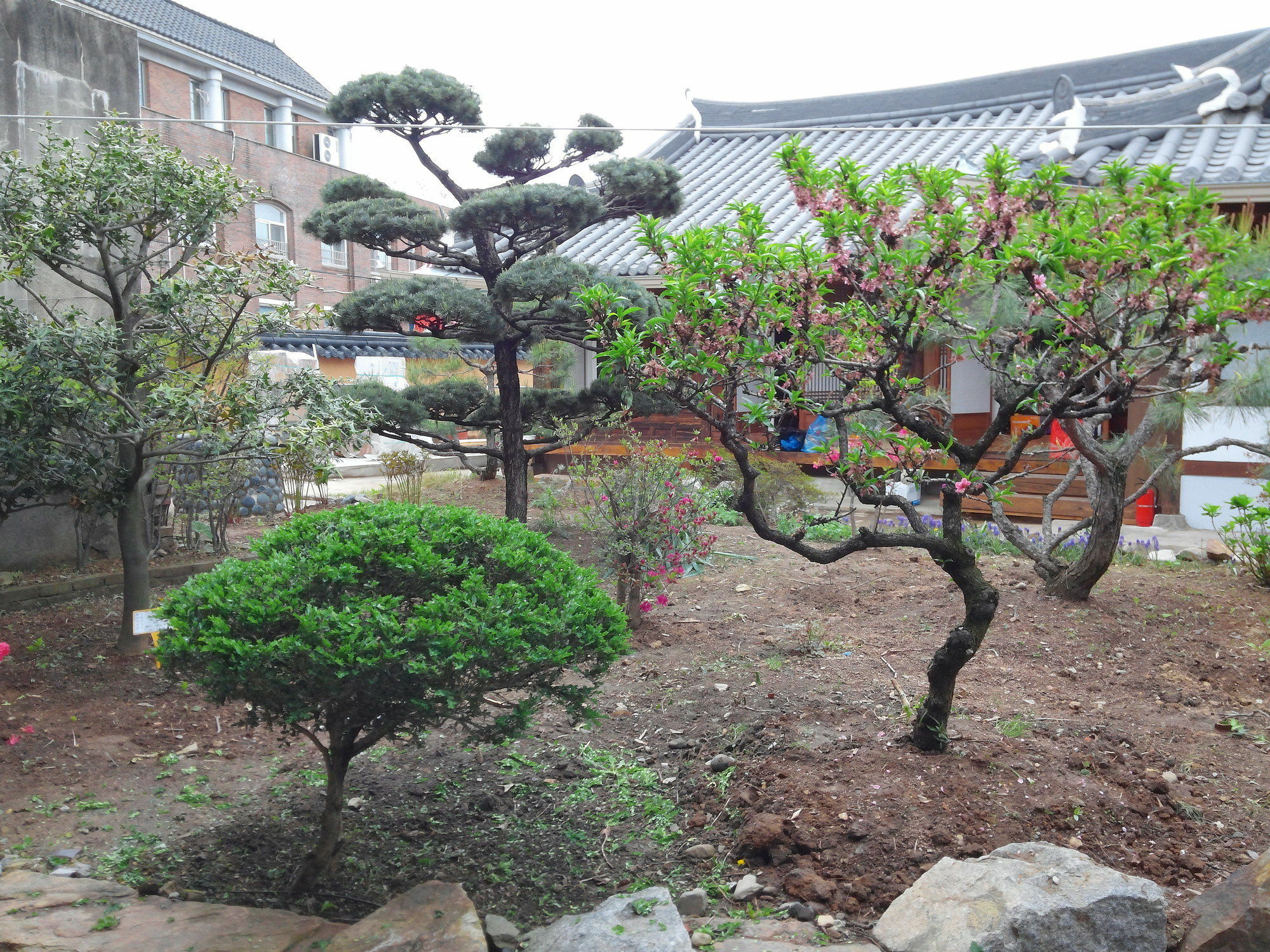 Sodamwon 전주 외부 사진