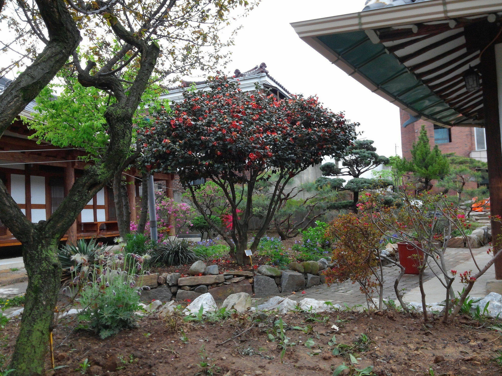 Sodamwon 전주 외부 사진